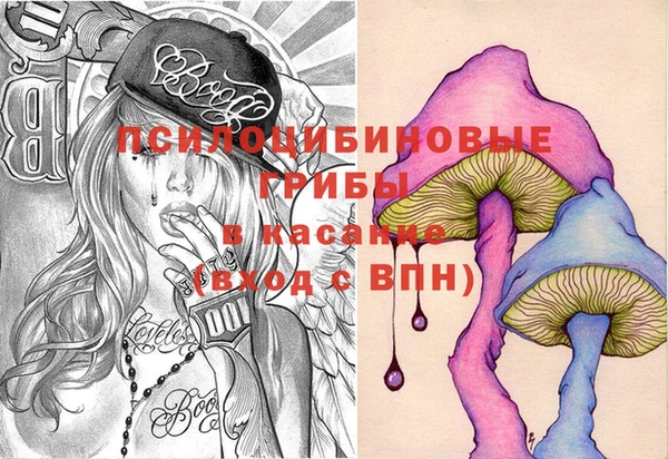 твердый Бикин
