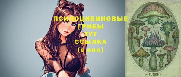 эйфоретик Великий Новгород