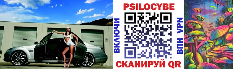 Галлюциногенные грибы Psilocybe  закладка  Аргун 