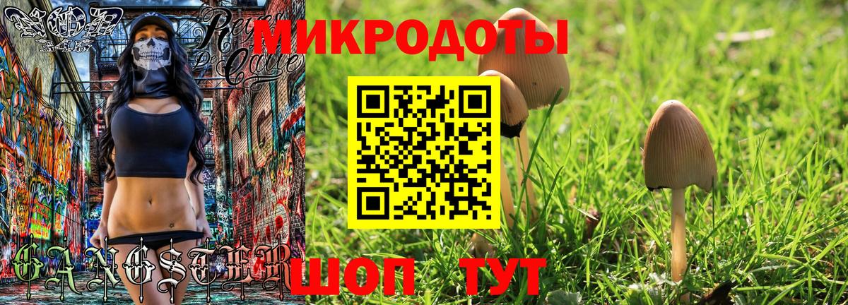 Псилоцибиновые грибы MAGIC MUSHROOMS Аргун