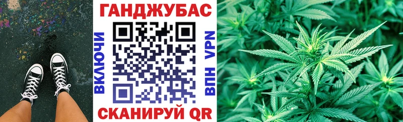 Марихуана гибрид  Аргун 